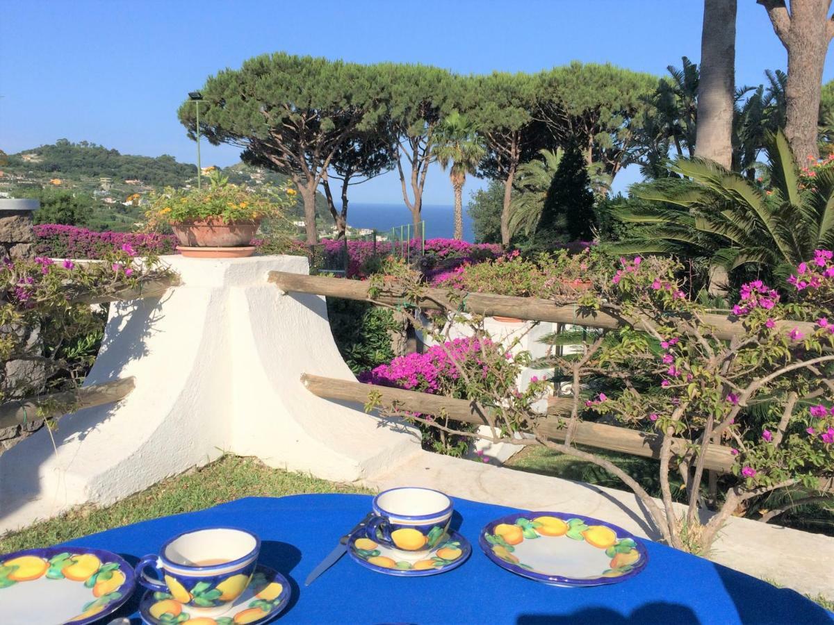 Villetta Con Giardino Esclusivo Di 1000 Mq, Piscina, Tennis, Calcio, Bocce Forio di Ischia Exterior foto